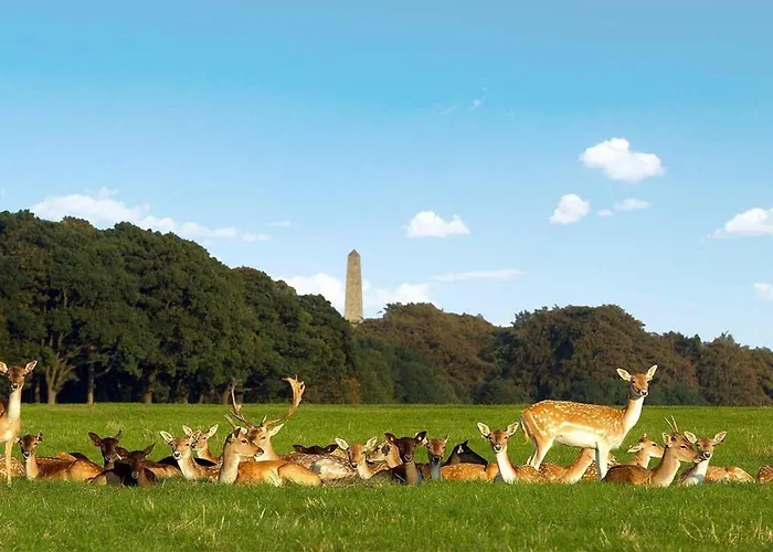 Apartment 2-bed -sleeps 5 & Parking