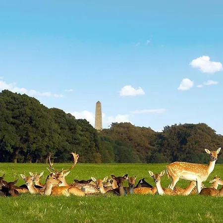 Appartement 2-bed -sleeps 5&parking